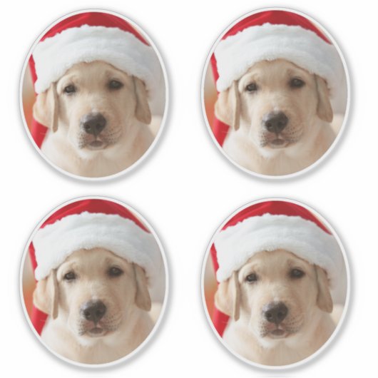 Dog Face Photo Custom Cut out シール (正面)