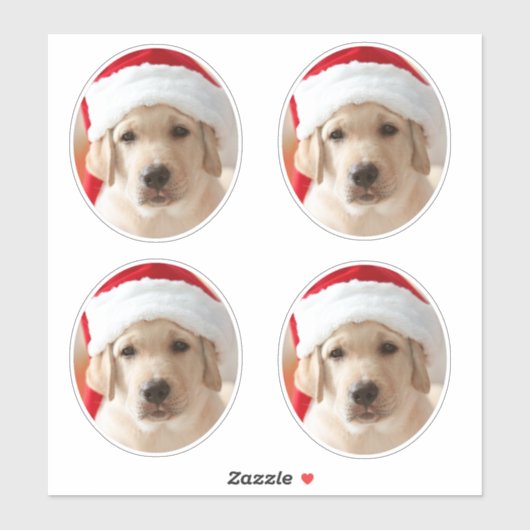 Dog Face Photo Custom Cut out シール (シート)