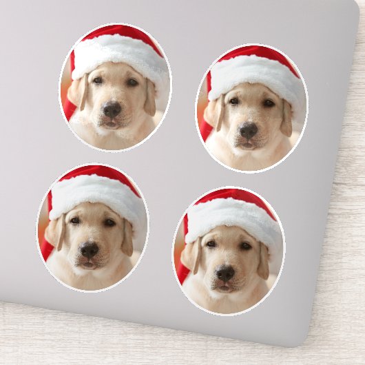 Dog Face Photo Custom Cut out シール (詳細)