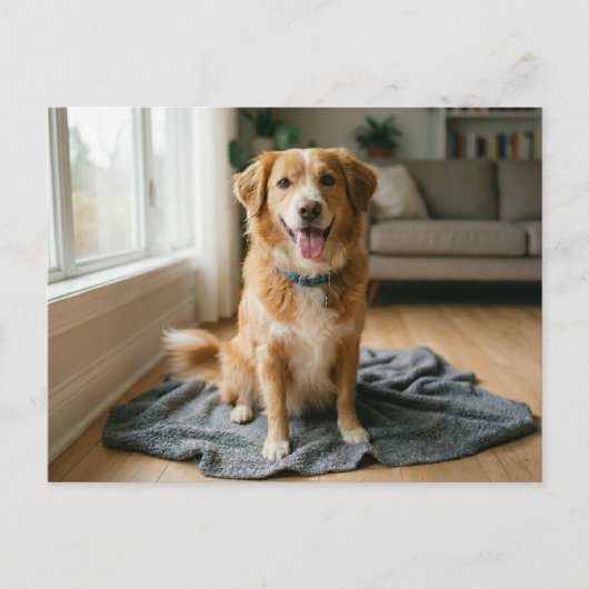 Dog Forever Home Announcement ポストカード (正面)