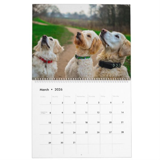 Dog Friends Wall Calendar 2026 Animals カレンダー (3月 2026)