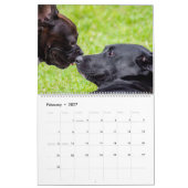 Dog Friends Wall Calendar 2026 Animals カレンダー (2月 2027)