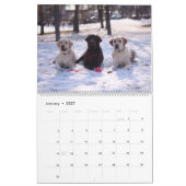 Dog Friends Wall Calendar 2026 Animals カレンダー (1月 2027)