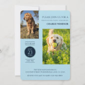 Dog Graduation Party Invitate Pet Photos Baby Blue 招待状 (裏面)
