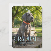 Dog Graduation Party Invite Pet Photo Baby Blue 招待状 (正面)