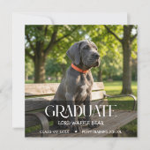 Dog Graduation Party Invite Pet Photo Black &White 招待状 (正面)