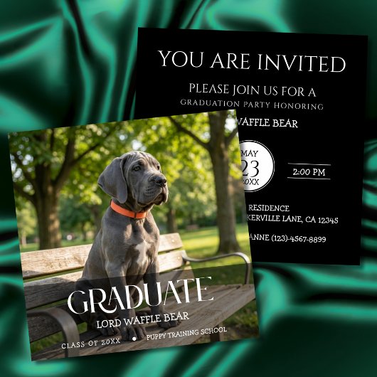 Dog Graduation Party Invite Pet Photo Black &White 招待状