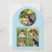 Dog Graduation Party Invite Pet Photos Baby Blue 招待状 (裏面)
