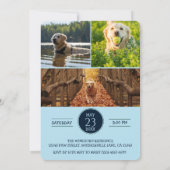 Dog Graduation Party Invite Pet Photos Baby Blue 招待状 (裏面)