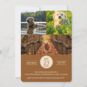 Dog Graduation Party Invite Pet Photos Brown 招待状 (裏面)
