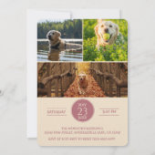 Dog Graduation Party Invite Pet Photos Rose Gold 招待状 (裏面)