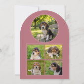 Dog Graduation Party Invite Pet Photos Rose Gold 招待状 (裏面)