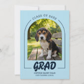 Dog Graduation Pet Photo Baby Blue & Navy 招待状 (正面)