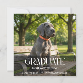 Dog Graduation Pet Photo Black Cherry 招待状
