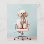 Dog Groomer  チラシ (裏面)