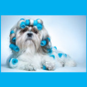 Dog Grooming ジグソーパズル