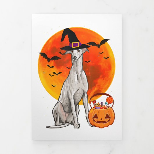Dog Halloween Greyhound Jack O Lantern Pumpkin 三つ折り案内状 (カバー)