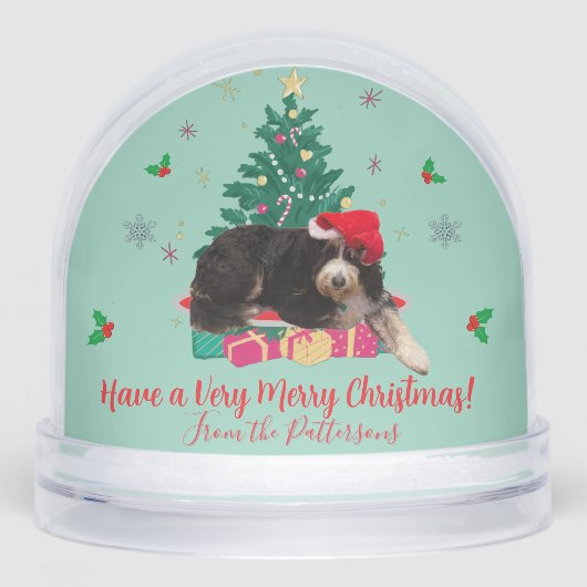 Dog in Santa hat & Christmas Tree  (正面)