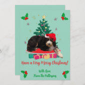 Dog in Santa Hat Photo Xmas Tree Flat Holiday Card シーズンカード (正面/裏面)