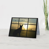 Dog in the Window Dog Compensity Card カード (正面)