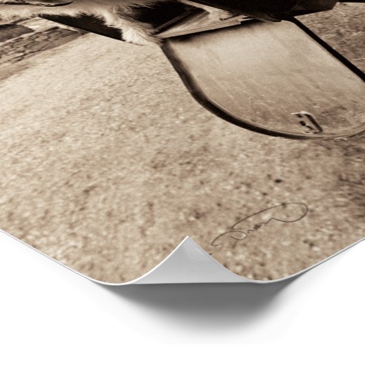 Dog Inside a Mailbox ポスター (角)