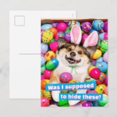 Dog Laying on Easter Eggs インビテーションポストカード (正面/裏面)