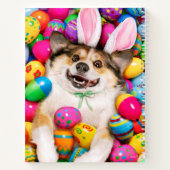 Dog Laying on Easter Eggs ノートブック (裏面)