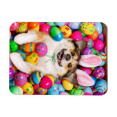Dog Laying on Easter Eggs マグネット (横)