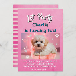 Dog Let's Party Birthday  シーズンカード