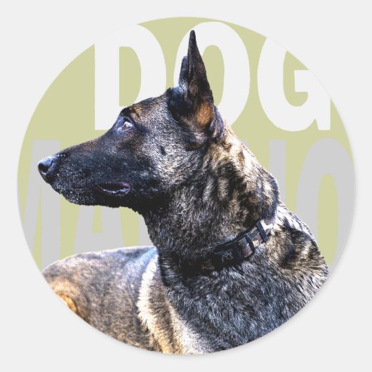 dog malinois china ラウンドシール (正面)