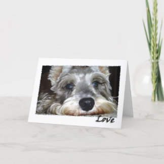 DOG: Mini German Schnauzer w/Love カード