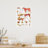 Dog Muscles Internal Anatomy Chart ポスター (キッチン)