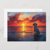 Dog on the Beach Watching the Sunset ポストカード (正面/裏面)