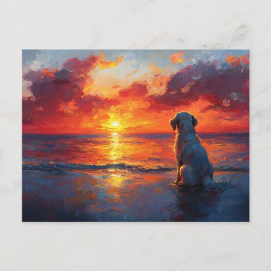 Dog on the Beach Watching the Sunset ポストカード (正面)