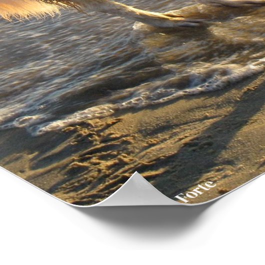 Dog On The Shore ポスター (角)