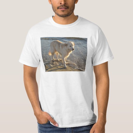 Dog On The Shore Tシャツ (正面)