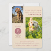 Dog Party Pet Photos Rose Gold Graduation 招待状 (裏面)