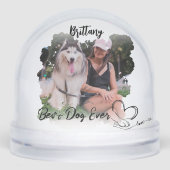 Dog Paw and Hand Pet Photo Owner Grunge  (正面)