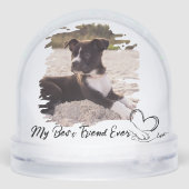 Dog Paw & Hand Typography Pet's Photo Grunge (裏面)