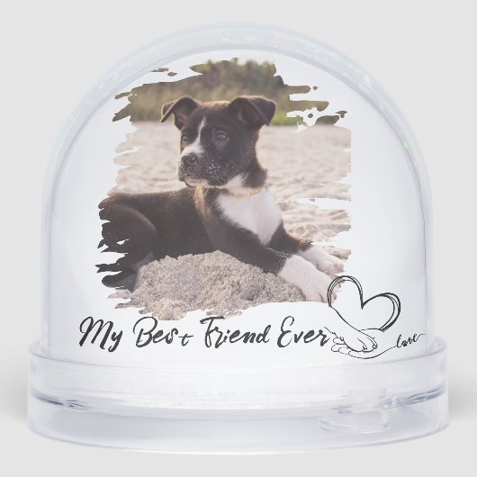 Dog Paw & Hand Typography Pet's Photo Grunge  (裏面)