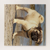 dog, pet, cute, animal, breed, puzzle,,puppy, ジグソーパズル (横)