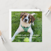 Dog Photo Save The Date婚約 カード (正面/裏面インサイチュ)