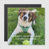 Dog Photo Save The Date婚約・カード・マグネット (正面/裏面)