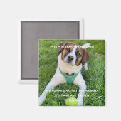 Dog Photo Save The Date婚約・カード マグネット (正面/裏面)