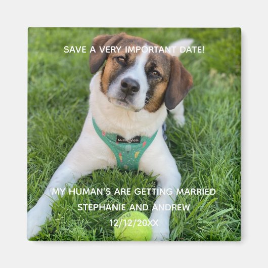 Dog Photo Save The Date婚約・カード マグネット (正面)