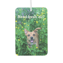 Dog Photography personalized Air Freshener カーエアーフレッシュナー