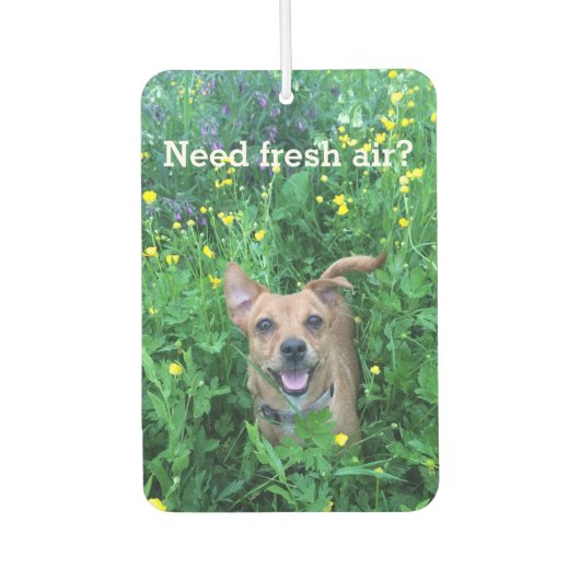 Dog Photography personalized Air Freshener カーエアーフレッシュナー (正面)