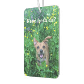 Dog Photography personalized Air Freshener カーエアーフレッシュナー (左)