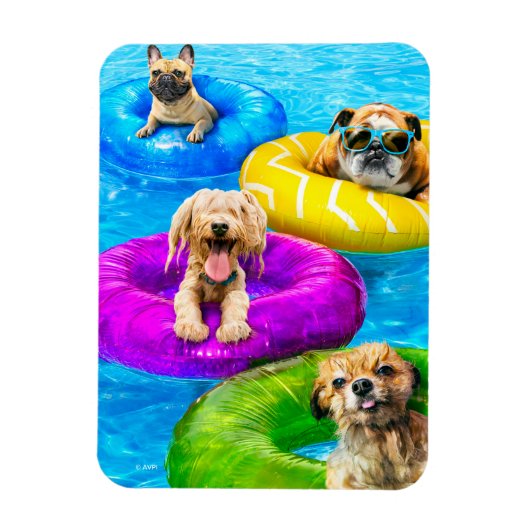 Dog Pool Party マグネット (縦)