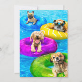 Dog Pool Party 招待状 (正面)